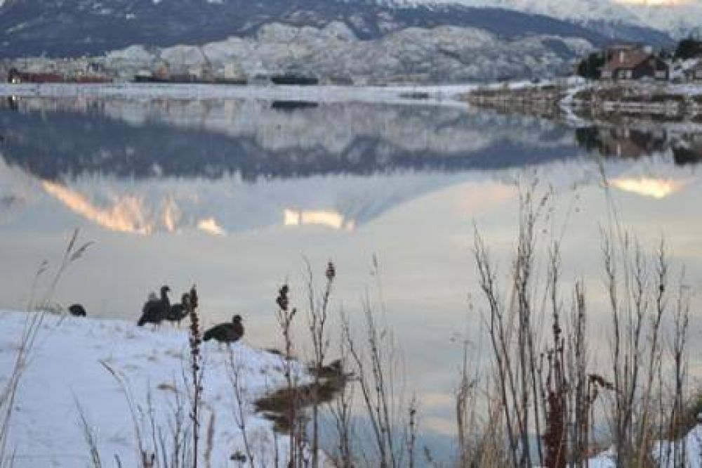 Plan de remediacin buscar devolver estndares ambientales a Ushuaia