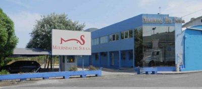Harineras: pidieron a Arroyo que intervenga frente a la emanaci�n de gases