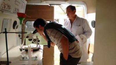 Advierten desde la provincia sobre la aparici�n de casos de triquinosis en humanos