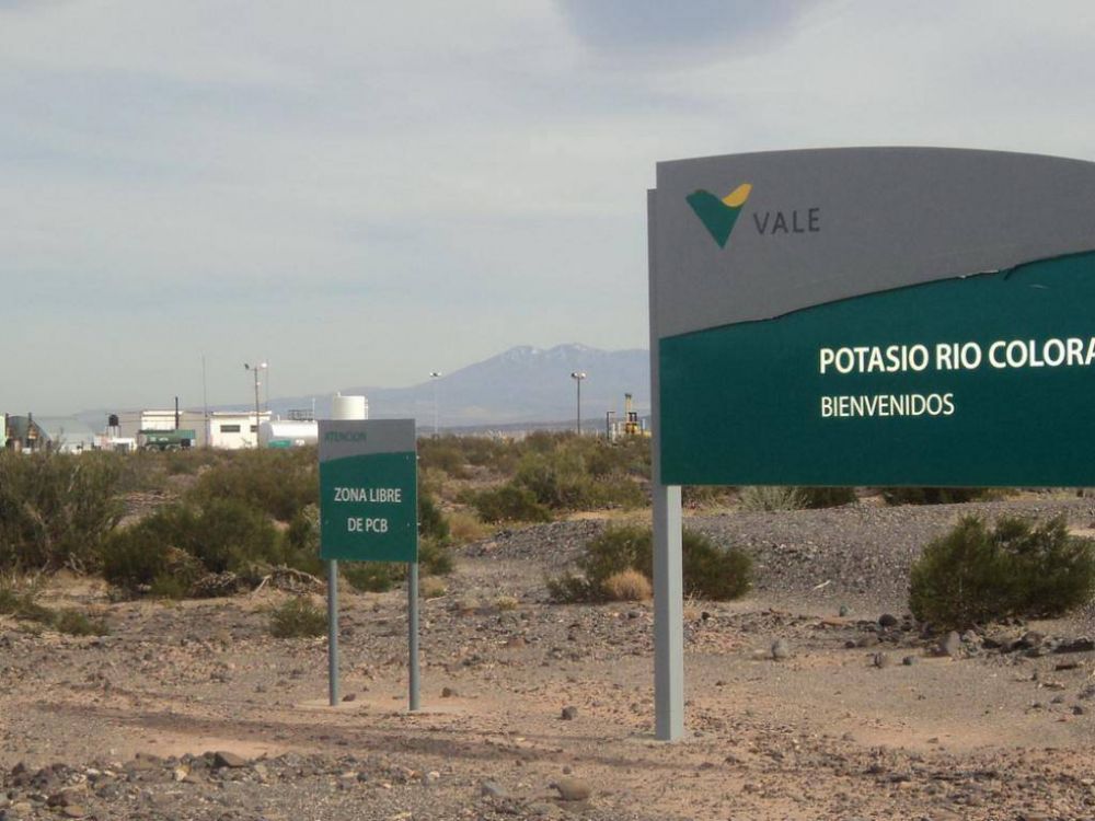�Vale comenz� a desmantelar Potasio R�o Colorado?