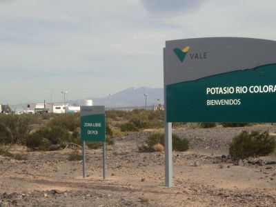 �Vale comenz� a desmantelar Potasio R�o Colorado?