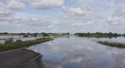 Adolfo Alsina: Calculan que m�s de 150 mil hect�reas quedaron bajo el agua