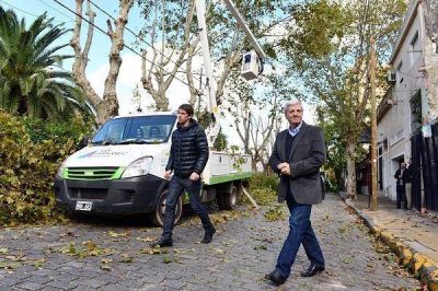 Comenz� la temporada de Poda Integral 2016 en San Fernando