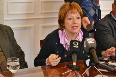 El radicalismo impugn� ante el Senado la postulaci�n de Novillo al STJ