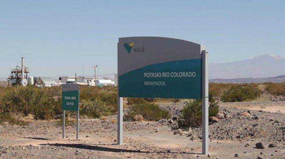 Vale reabrir� Potasio R�o Colorado y podr�a ponerse en marcha en 18 meses