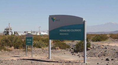 Vale reabrir� Potasio R�o Colorado y podr�a ponerse en marcha en 18 meses