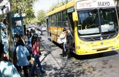 El pr�ximo domingo no habr� colectivos de l�nea