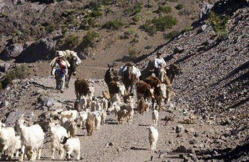 Crianceros defienden las rutas de arreos  