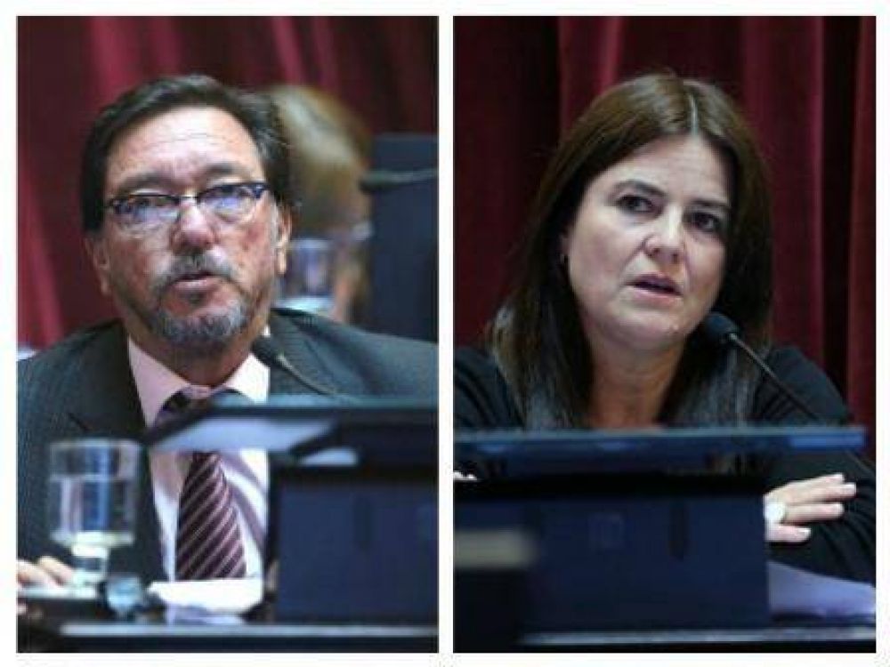 Guastavino y Kunath votaron a favor de la Ley antidespidos, De ngeli en contra 