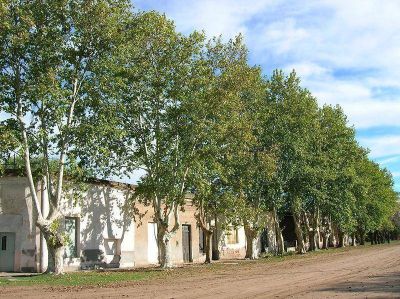 El Frente Renovador pidi� identificar y numerar las calles de los pueblos del interior