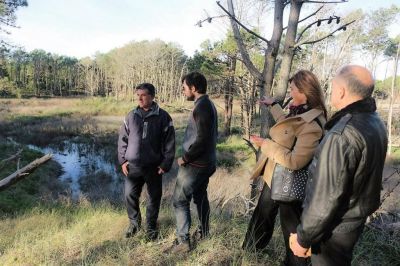 Estiman que la planta depuradora de Pinamar costar� 120 millones de pesos