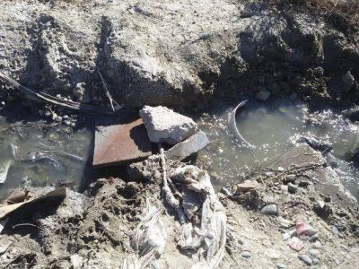 Contaminaci�n cloacal, malos olores y peligro en 