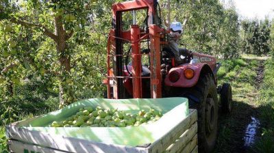 El tarifazo energ�tico deja sin fuerzas a los chacareros
