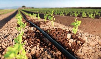 Arranc� el Programa Provincial de Capacitaci�n sobre Riego