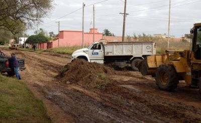 AVANZA OBRA DE ENTOSCADO EN AVENIDA 58