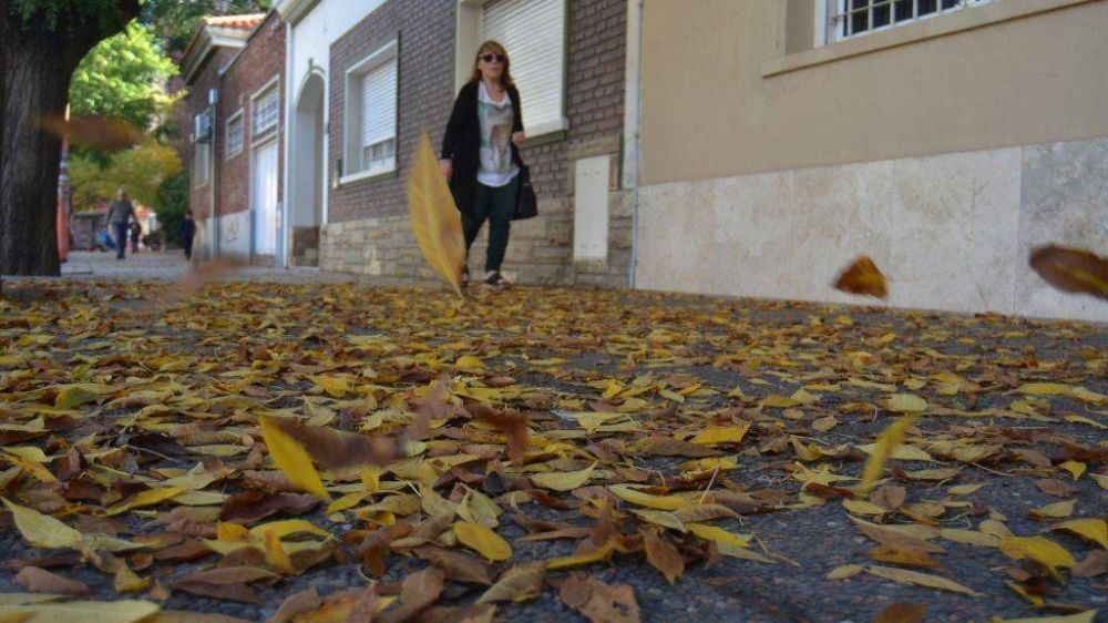 Por el oto�o ponen �nfasis en el barrido de calles