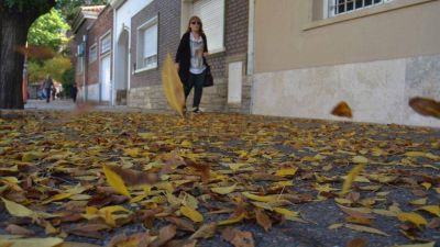 Por el oto�o ponen �nfasis en el barrido de calles