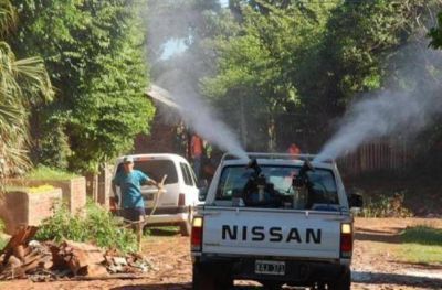 Para el Ministerio de Salud de Misiones hay 11.700 casos de dengue