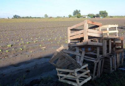 Faltan frutas, verduras, los precios suben y en Paraná recién comenzó la siembra