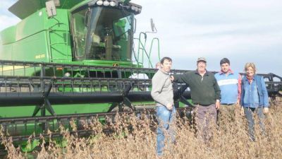 Para no penalizar, la soja pelea contra la humedad y el grano da�ado