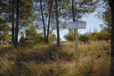 La Municipalidad tiene 400 terrenos disponibles para la venta