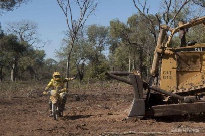 Provincia reclama el pago de m�s de 171 mil millones de pesos por desmontes