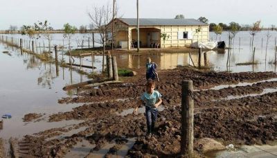 M�s de un mes con sus campos bajo agua
