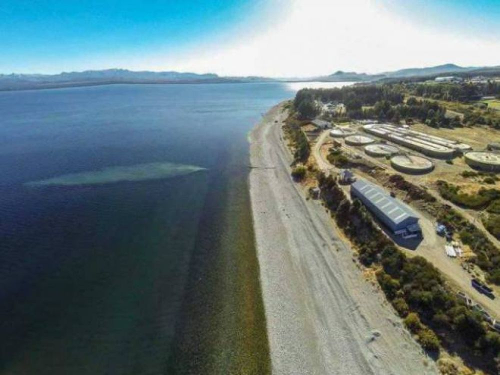 Prohibido ba�arse: los datos num�ricos de la salud del Nahuel Huapi