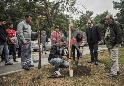 Programa de reconstrucci�n: presentaron el plan de forestaci�n 2016 para la ciudad