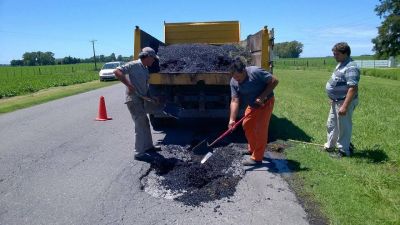 Anuncian tareas de rehabilitaci�n y conservaci�n en ruta 31