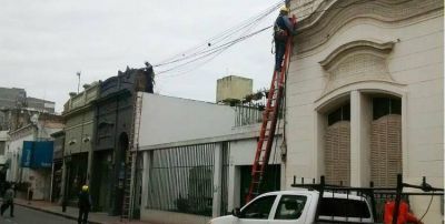 La Municipalidad realiza tareas de limpieza del cableado a�reo en la ciudad