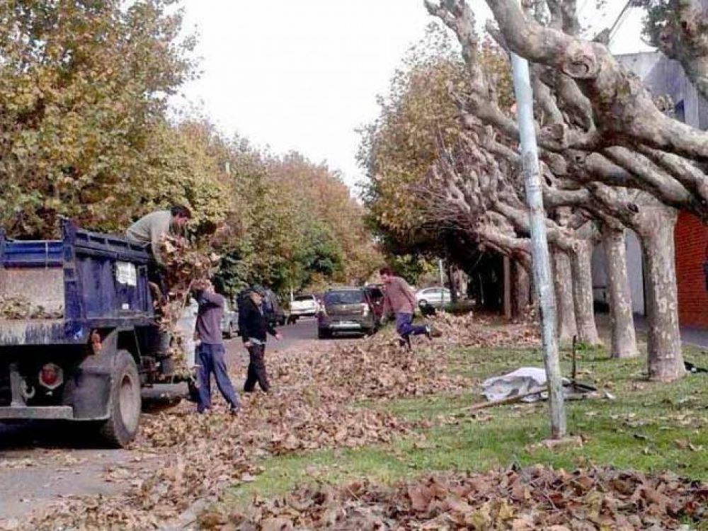 Operativos de limpieza y barrido en todo el distrito