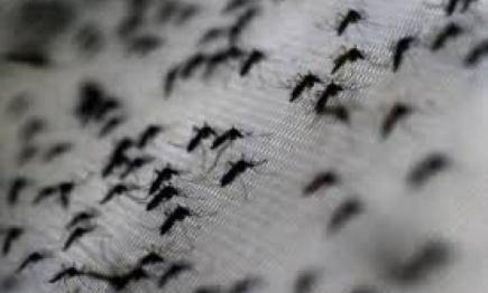 Salud P�blica inform� que son 12.300 los casos sospechosos de dengue en Misiones