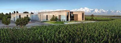 Firma Molinos compr� su tercera bodega en Mendoza