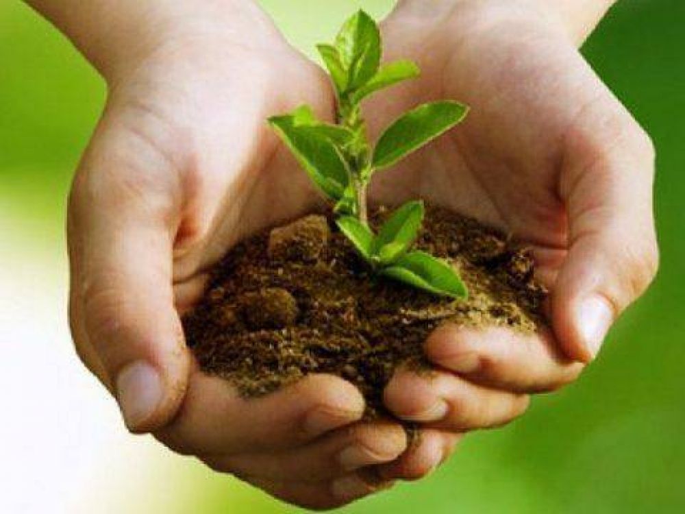 Charla sobre Toxicidad Ambiental en el Museo Mulazzi