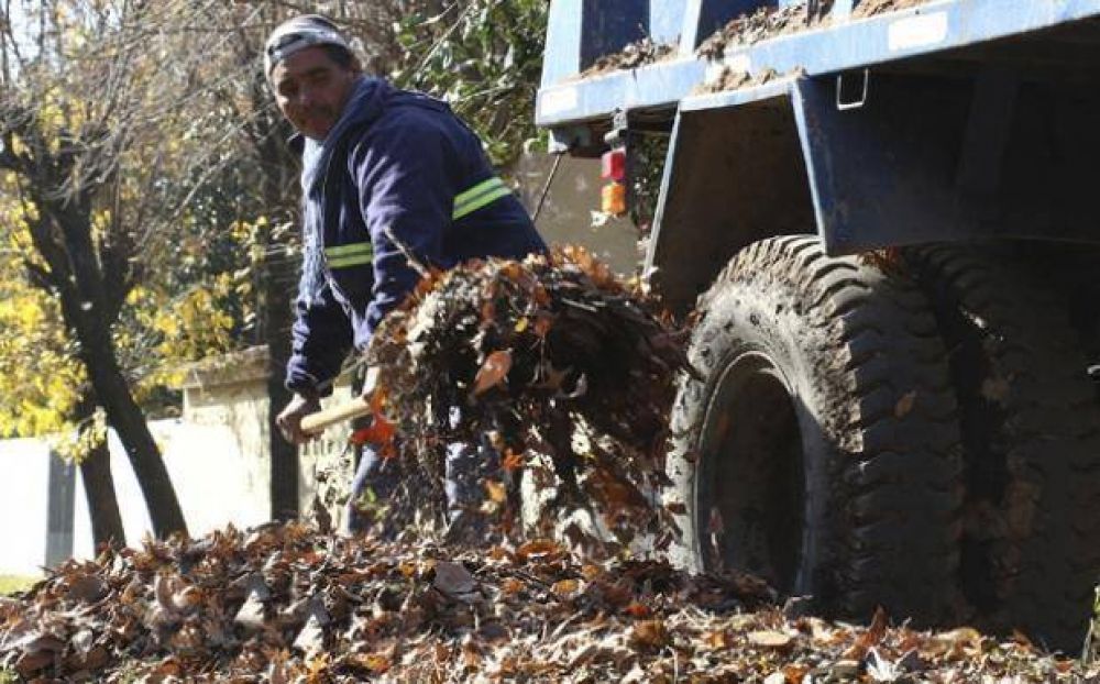 Difunden las fechas de recolecci�n de restos de poda y escombros