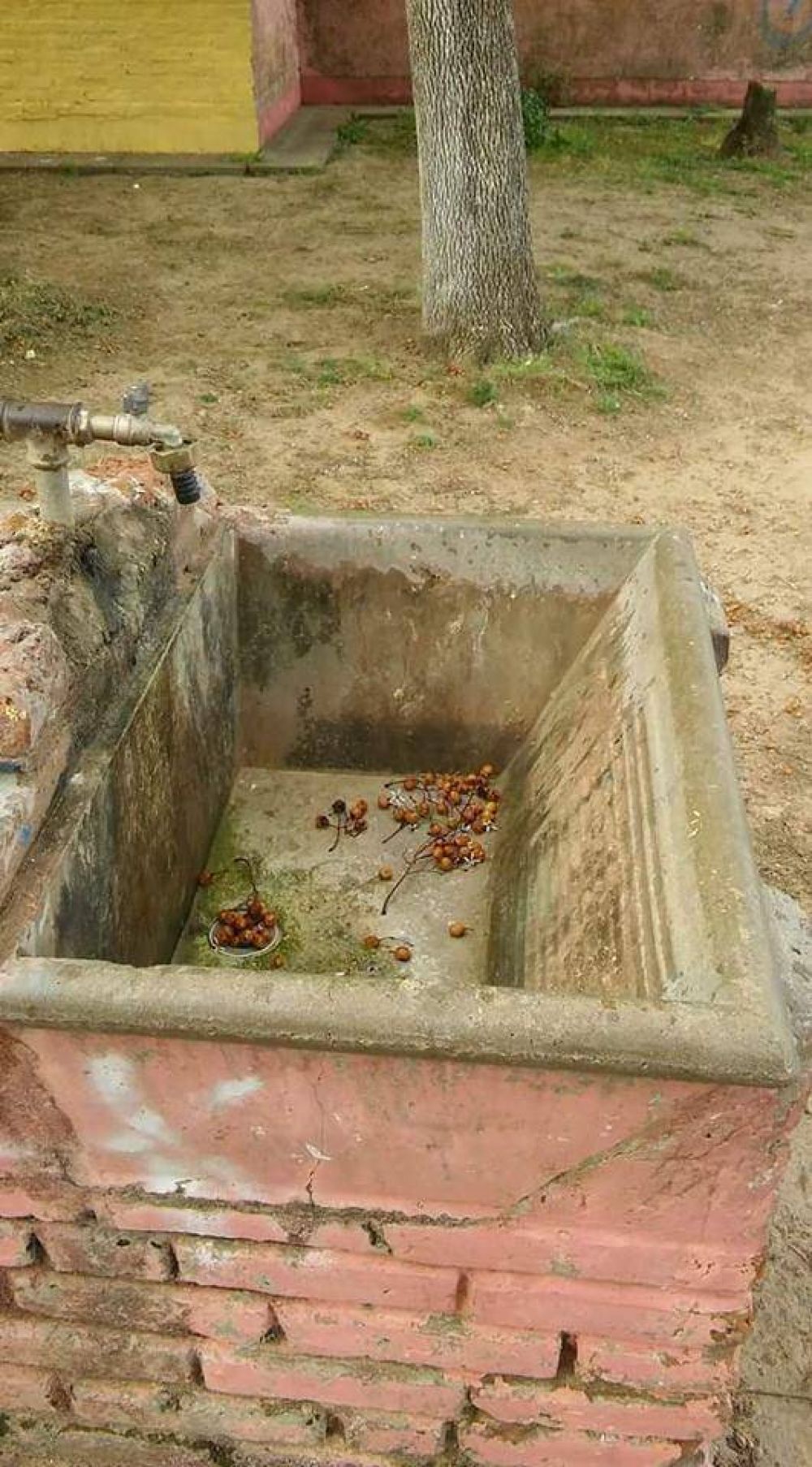 Piden agua para todos en el poli