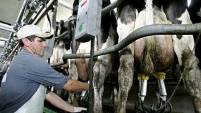 Schepens y diputados abordarán proyecto para transparentar cadena láctea