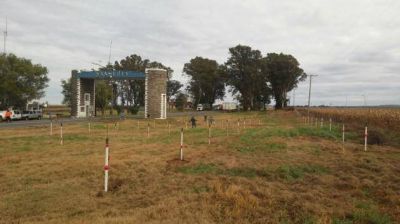 Forestaron con 160 �rboles el acceso a San Luis por Vizcacheras