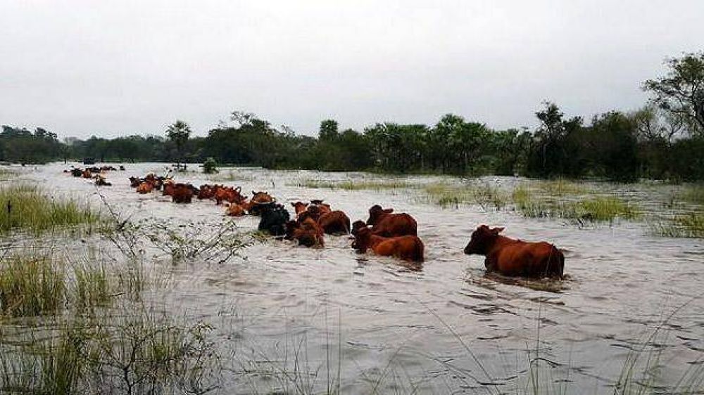 Gobierno asegura que beneficios alcanzan a 1000 productores entrerrianos