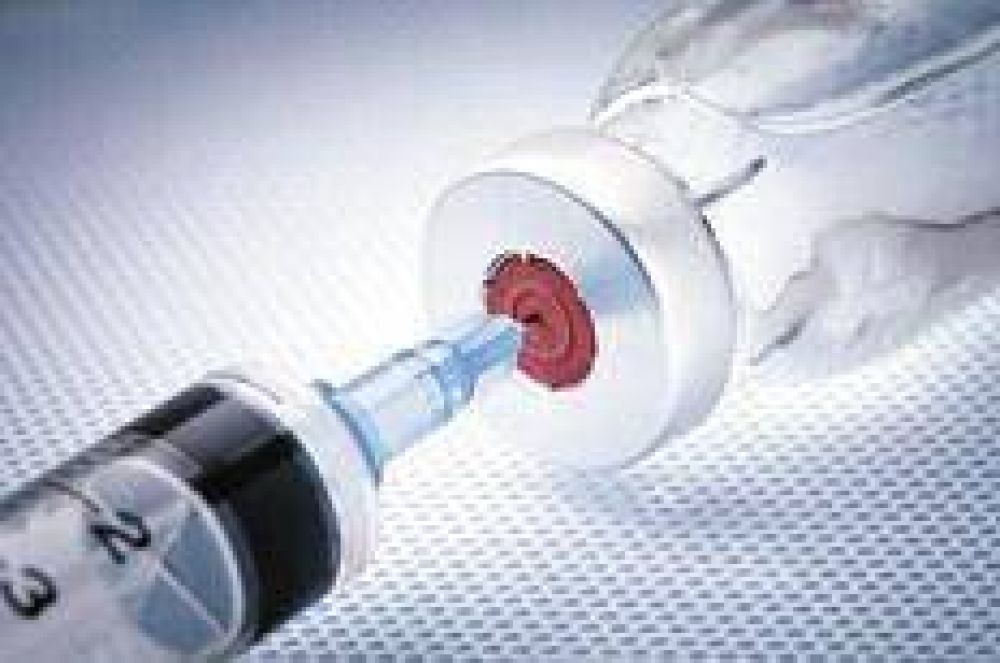 Ya hay muertes por la gripe A