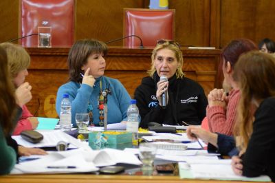 �Hoy estamos en camino de obtener la declaraci�n de Emergencia en violencia de g�nero�