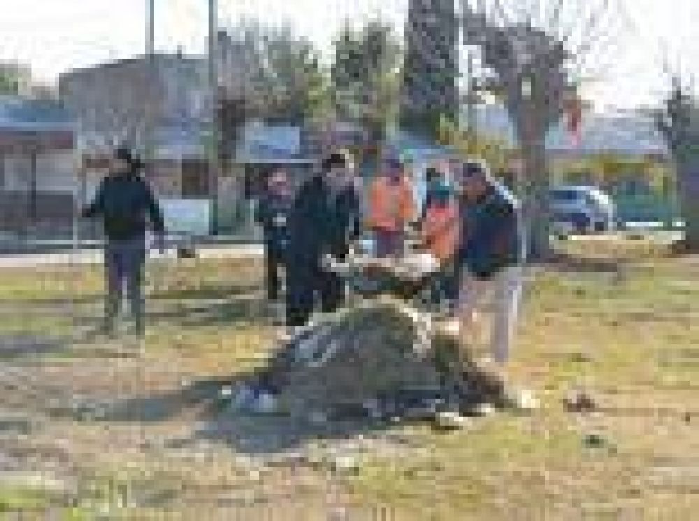Berisso: Trabajos de limpieza en espacios p�blicos