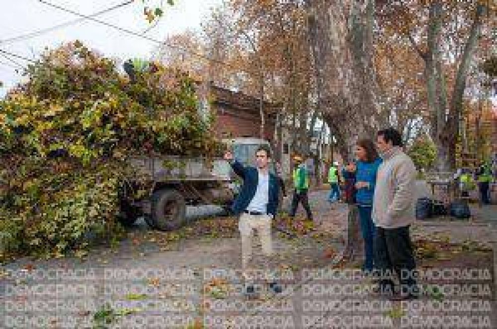 Con la poda de 300 ejemplares comenz� el plan integral sobre el arbolado p�blico
