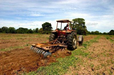 Abordar�n la problem�tica del desarrollo agropecuario como aporte al Plan Belgrano
