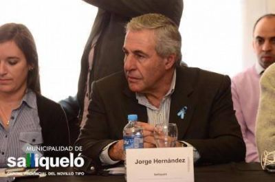 El intendente de Salliquel� firmar� un convenio en el Organismo para el Desarrollo Sostenible