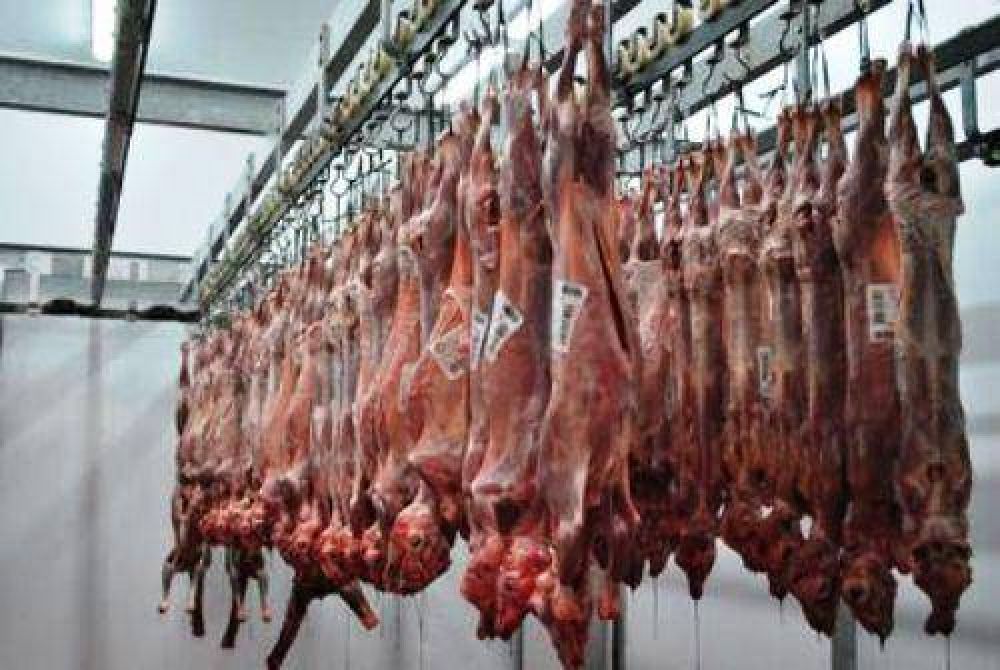 Santa Isabel: 25 toneladas de cabras a Angola