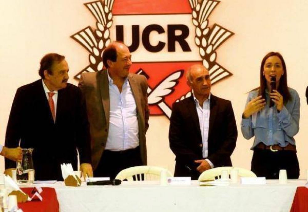 Vidal tiene quien la defienda: la UCR le pone el pecho a las balas