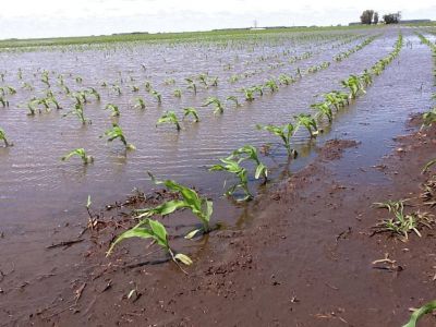 El sector agropecuario no recibi� ning�n anuncio sobre cr�ditos