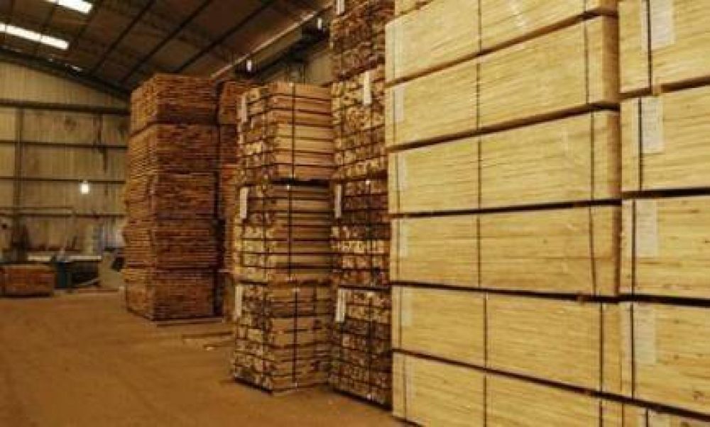 Proponen crear el Instituto Provincial de la Madera para mejor explotaci�n maderera